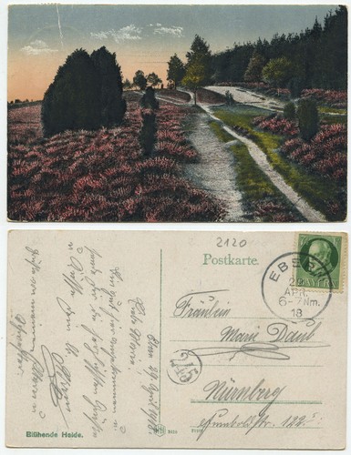 39363 blühende heide - -,